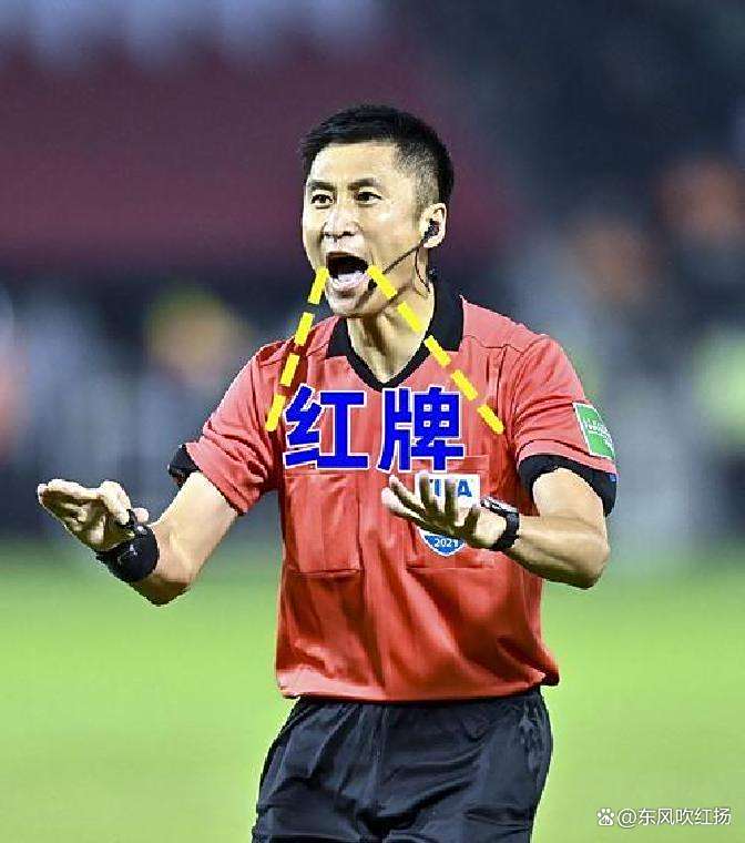 爱奇艺体育登录入口-世俱杯首现裁判佩戴执法记录仪俩中国裁判入选(执法记录仪戴左边还是右边)
